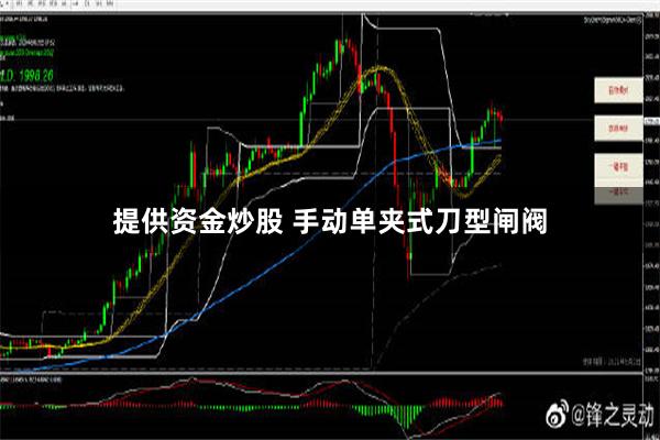 提供资金炒股 手动单夹式刀型闸阀