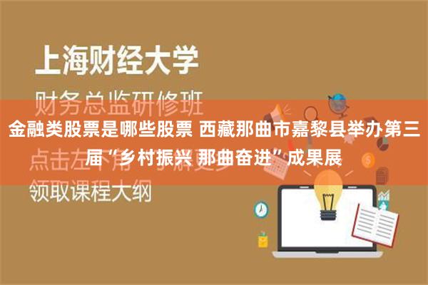 金融类股票是哪些股票 西藏那曲市嘉黎县举办第三届“乡村振兴 那曲奋进”成果展