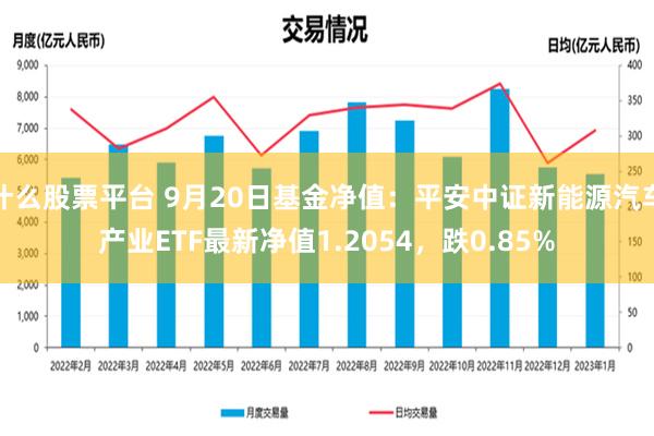 什么股票平台 9月20日基金净值：平安中证新能源汽车产业ETF最新净值1.2054，跌0.85%