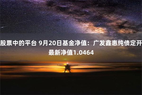 股票中的平台 9月20日基金净值：广发鑫惠纯债定开最新净值1.0464