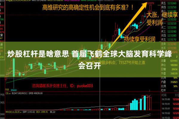 炒股杠杆是啥意思 首届飞鹤全球大脑发育科学峰会召开