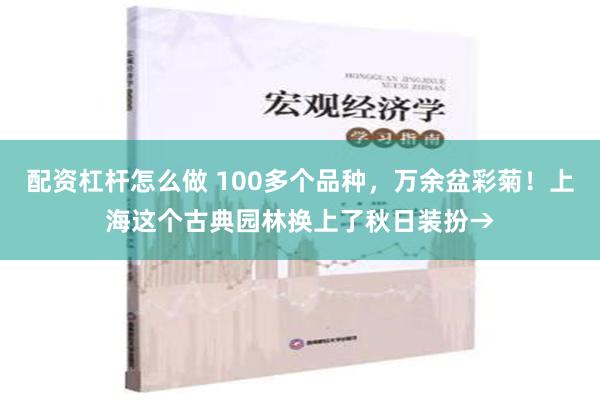 配资杠杆怎么做 100多个品种，万余盆彩菊！上海这个古典园林换上了秋日装扮→