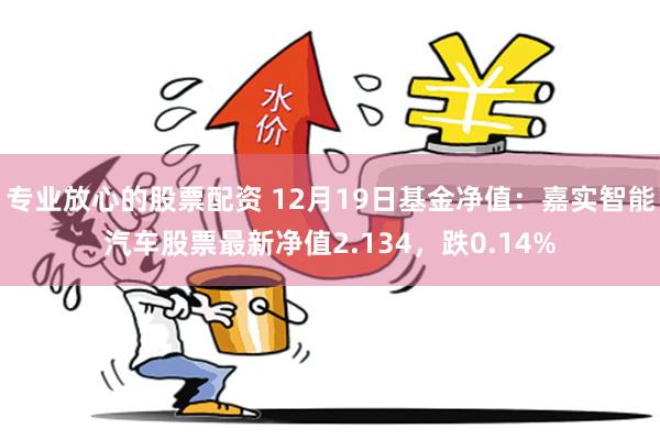 专业放心的股票配资 12月19日基金净值：嘉实智能汽车股票最新净值2.134，跌0.14%